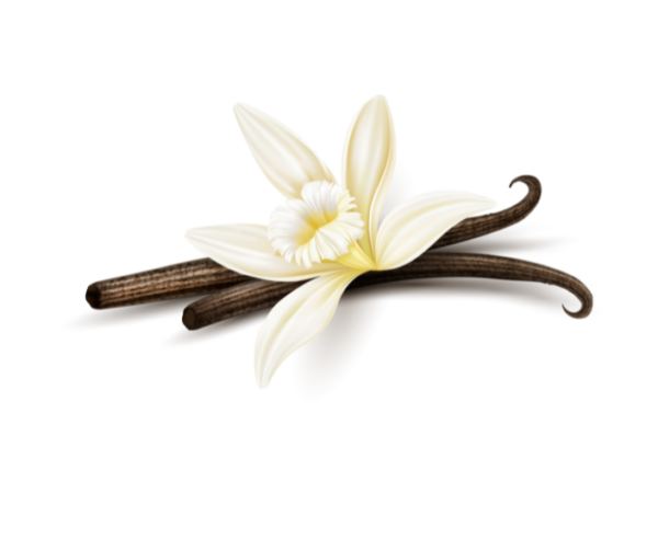 Vanilla French Fragrance Oil 2127