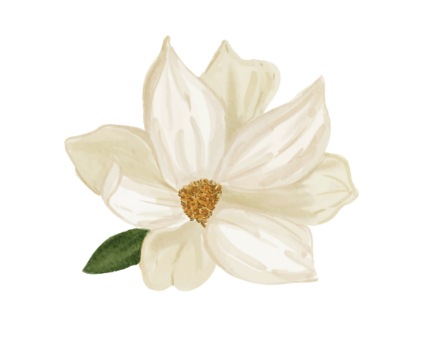 Magnolia Fragrance Oil 2095