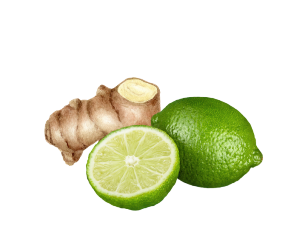 Ginger and Lime Fragrance Oil