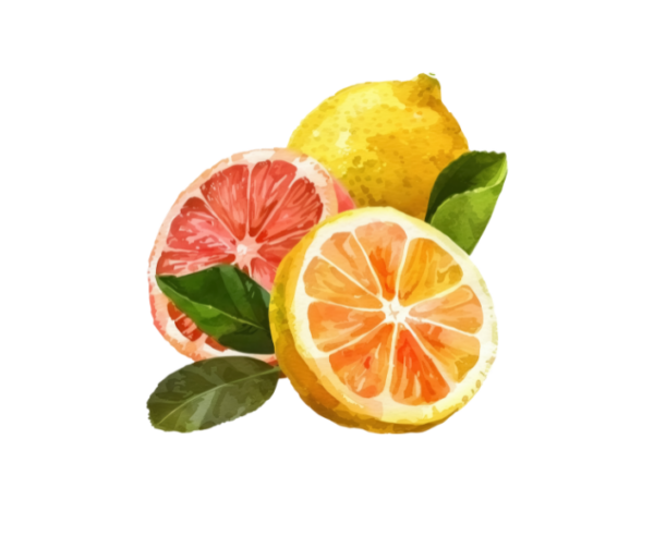 Citrus Sparkle Fragrance Oil 0407