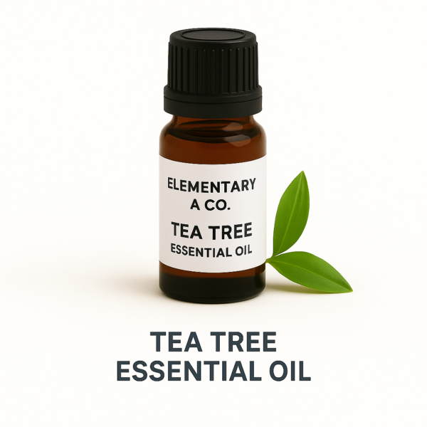 Essential Oil: Tea Tree .